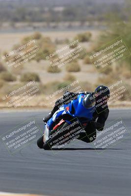 media/May-14-2023-SoCal Trackdays (Sun) [[024eb53b40]]/Turn 5 Tree of Life (1125am)/